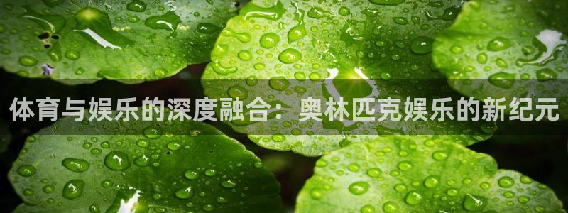 新宝gg网址：体育与娱乐的深度融合：奥林匹克娱乐的新纪元