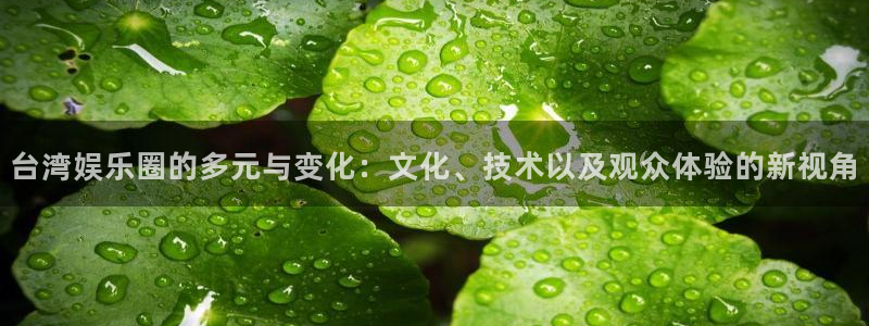 下载新宝5：台湾娱乐圈的多元与变化：文化、技术以及观众体验的新视角