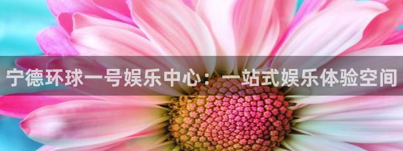 新宝gg官网：宁德环球一号娱乐中心：一站式娱乐体验空间