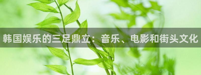 新宝gg在线注册：韩国娱乐的三足鼎立：音乐、电影和街头文化