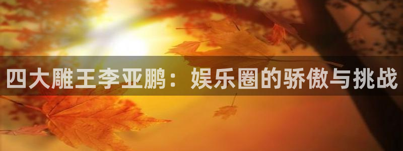 新宝gg注册：四大雕王李亚鹏：娱乐圈的骄傲与挑战