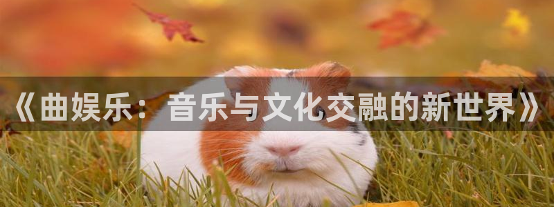 新宝gg娱乐：《曲娱乐：音乐与文化交融的新世界》