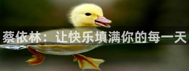 新宝gg官网：蔡依林：让快乐填满你的每一天