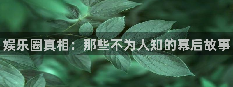 新宝gg官网登录：娱乐圈真相：那些不为人知的幕后故事