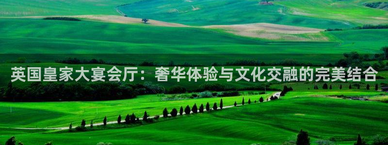 新宝gg在线注册：英国皇家大宴会厅：奢华体验与文化交融的完美结合